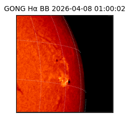 gong - 2026-04-08T01:00:02