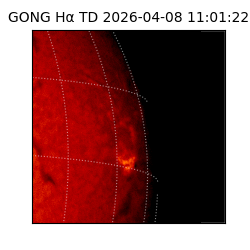 gong - 2026-04-08T11:01:22