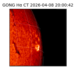 gong - 2026-04-08T20:00:42