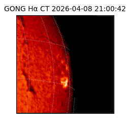 gong - 2026-04-08T21:00:42