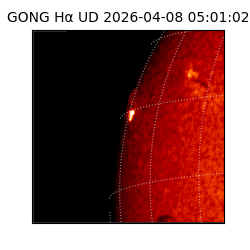 gong - 2026-04-08T05:01:02