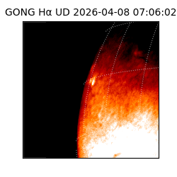 gong - 2026-04-08T07:06:02