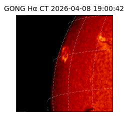 gong - 2026-04-08T19:00:42