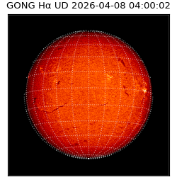 gong - 2026-04-08T04:00:02