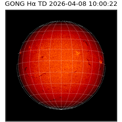 gong - 2026-04-08T10:00:22