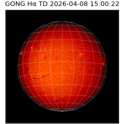 gong - 2026-04-08T15:00:22