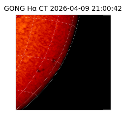 gong - 2026-04-09T21:00:42