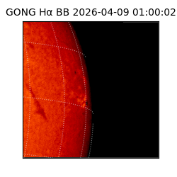 gong - 2026-04-09T01:00:02