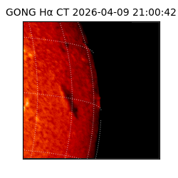 gong - 2026-04-09T21:00:42