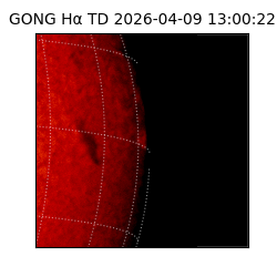 gong - 2026-04-09T13:00:22