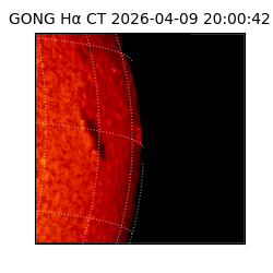 gong - 2026-04-09T20:00:42