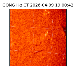 gong - 2026-04-09T19:00:42