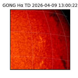 gong - 2026-04-09T13:00:22