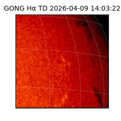 gong - 2026-04-09T14:03:22