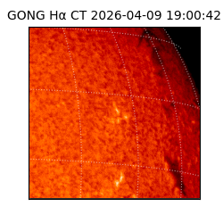 gong - 2026-04-09T19:00:42