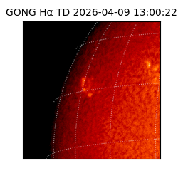 gong - 2026-04-09T13:00:22