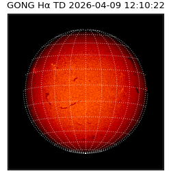 gong - 2026-04-09T12:10:22