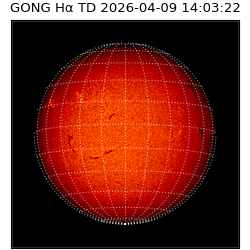 gong - 2026-04-09T14:03:22