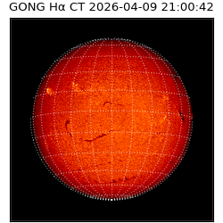 gong - 2026-04-09T21:00:42