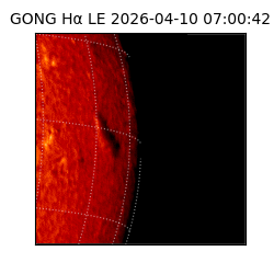 gong - 2026-04-10T07:00:42