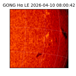gong - 2026-04-10T08:00:42