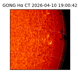 gong - 2026-04-10T19:00:42