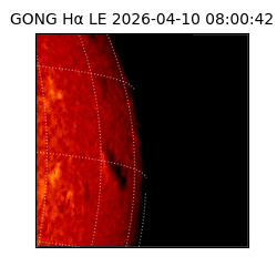 gong - 2026-04-10T08:00:42