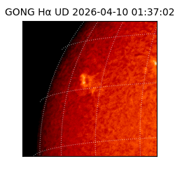 gong - 2026-04-10T01:37:02