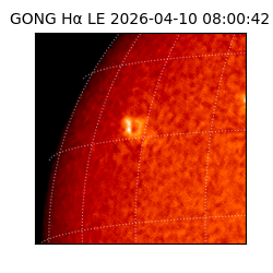 gong - 2026-04-10T08:00:42