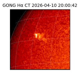 gong - 2026-04-10T20:00:42