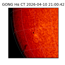 gong - 2026-04-10T21:00:42