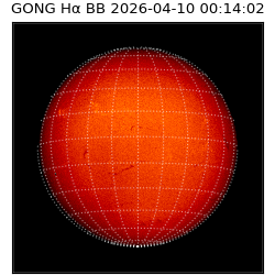 gong - 2026-04-10T00:14:02
