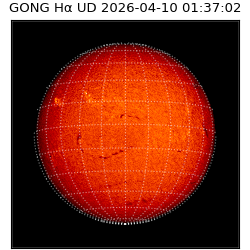 gong - 2026-04-10T01:37:02