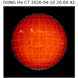 gong - 2026-04-10T20:00:42