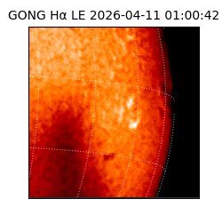 gong - 2026-04-11T01:00:42