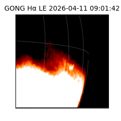 gong - 2026-04-11T09:01:42