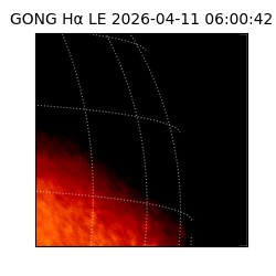 gong - 2026-04-11T06:00:42