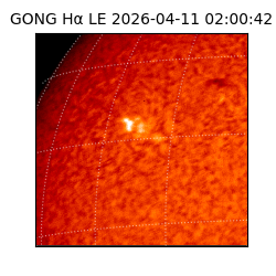 gong - 2026-04-11T02:00:42