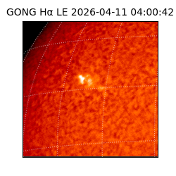 gong - 2026-04-11T04:00:42