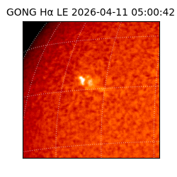 gong - 2026-04-11T05:00:42