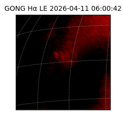 gong - 2026-04-11T06:00:42