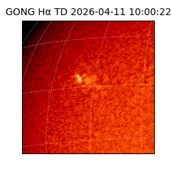 gong - 2026-04-11T10:00:22