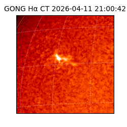 gong - 2026-04-11T21:00:42