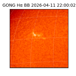 gong - 2026-04-11T22:00:02