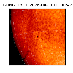 gong - 2026-04-11T01:00:42
