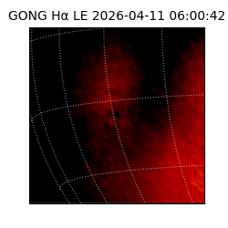 gong - 2026-04-11T06:00:42