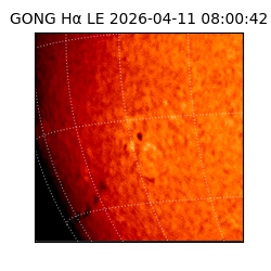 gong - 2026-04-11T08:00:42