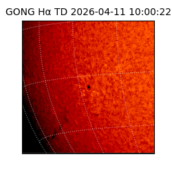 gong - 2026-04-11T10:00:22