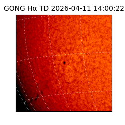 gong - 2026-04-11T14:00:22