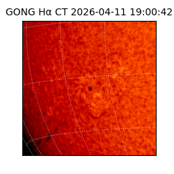 gong - 2026-04-11T19:00:42